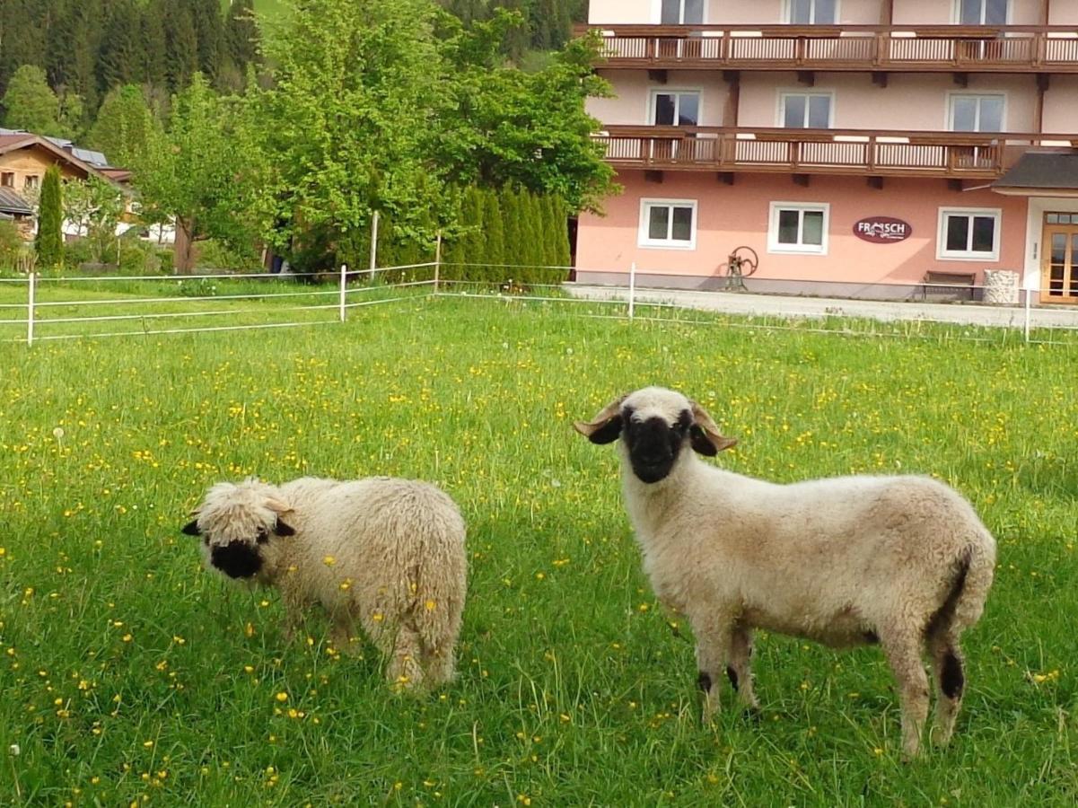 ホテル Hinterlechnerhof ヴェステンドルフ エクステリア 写真